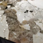 Lunare Dining table - Image 3